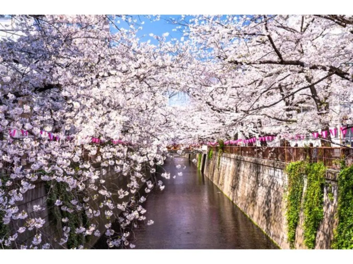Act Hotel Shibuya - Vacation Stay 84217 Tokyo