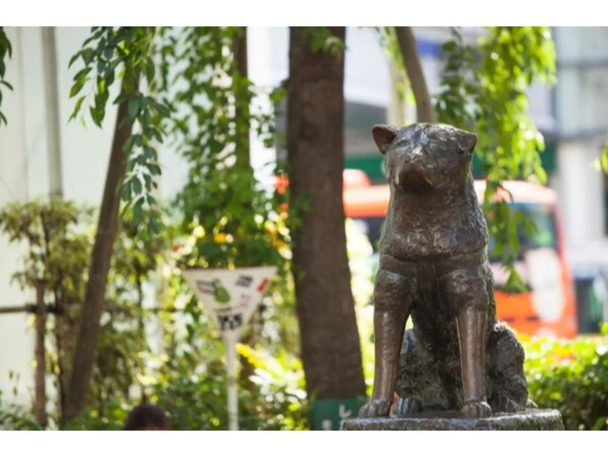 Act Hotel Shibuya - Vacation Stay 84217 طوكيو 2*,